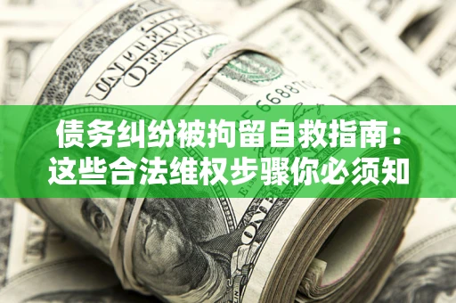 济南债务纠纷被拘留自救指南：这些合法维权步骤你必须知道！