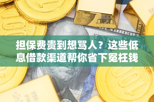 济南担保费贵到想骂人？这些低息借款渠道帮你省下冤枉钱