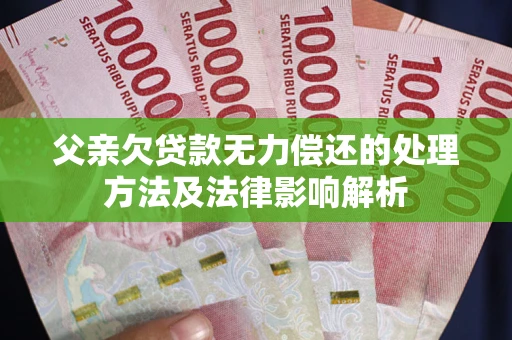 济南父亲欠贷款无力偿还的处理方法及法律影响解析