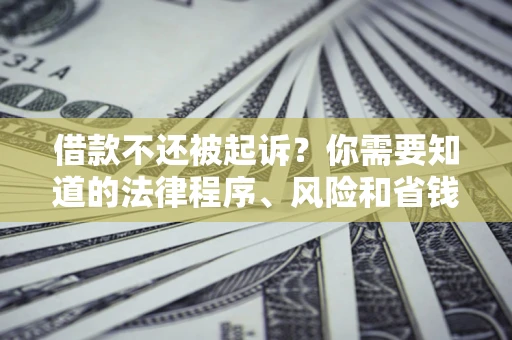 济南借款不还被起诉？你需要知道的法律程序、风险和省钱技巧